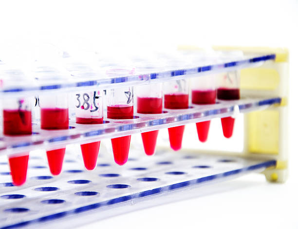istock Blood collection tube 502743187