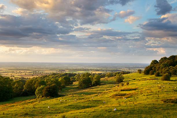 rural de cotswolds - uk beauty in nature worcestershire vale of evesham fotografías e imágenes de stock