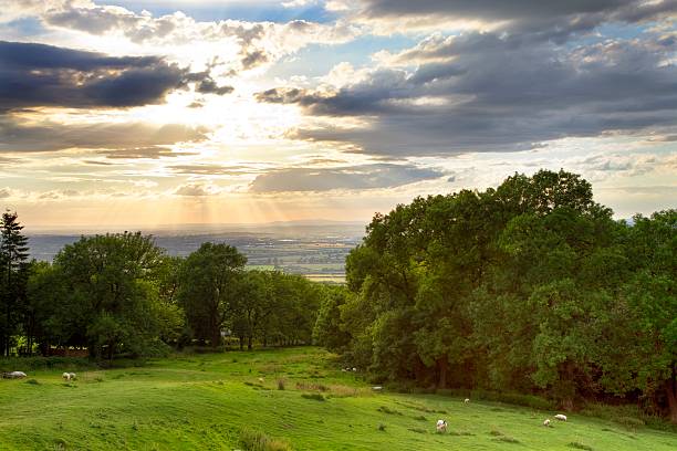 rural de cotswolds - uk beauty in nature worcestershire vale of evesham fotografías e imágenes de stock