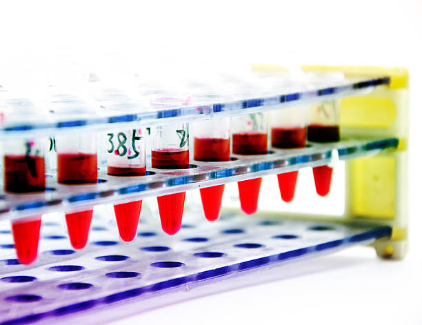 istock Blood collection tube 502743963