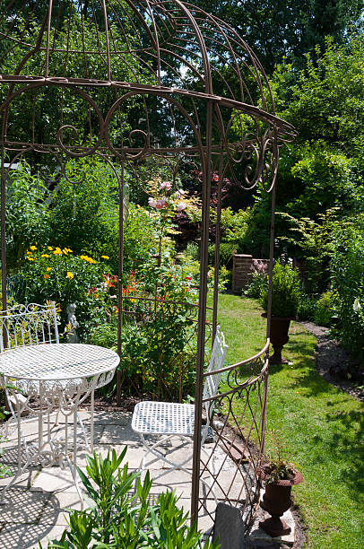 istock Ornamental garden 502744197
