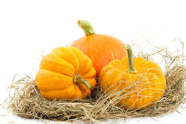 istock Fresh yellow pumpkin 502745223