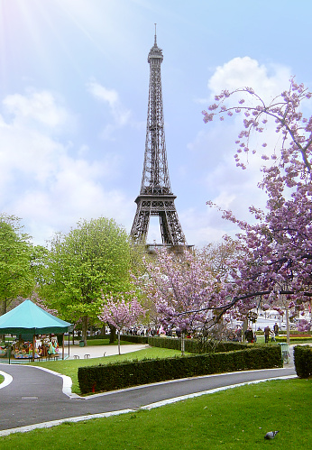 ■The garden of the Trocadero with its cherry blossoms, the carousel and the Eiffel Tower in the background under a blue sky. It is located in the 16th arrondissement of Paris, overlooking the Seine in France.