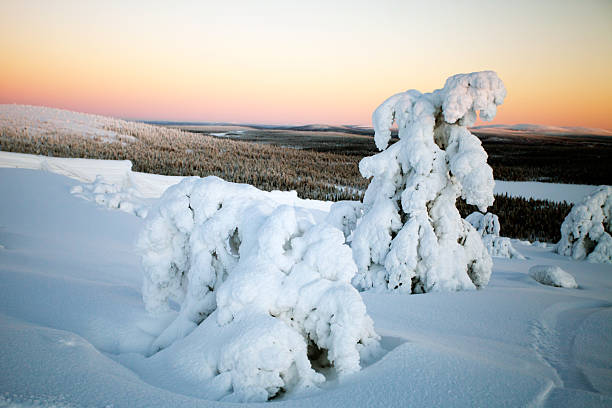 Cold winter in Lapland Finland
