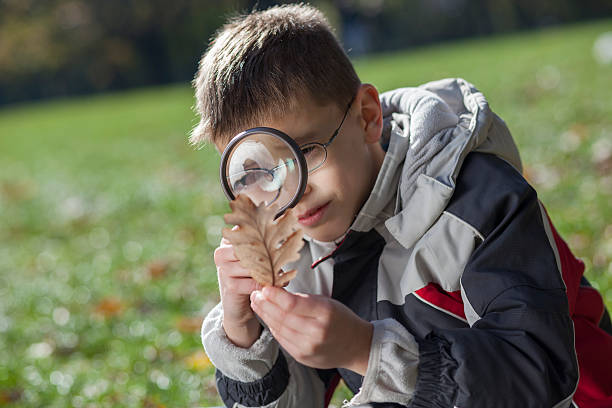 istock Liite cute boy explore nature with magnifier 502752332