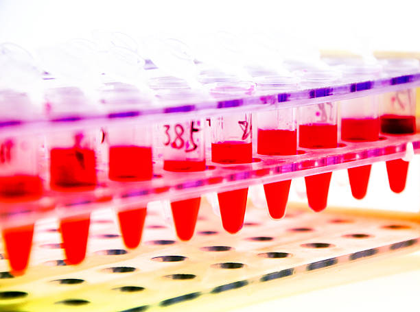 istock Blood collection tube 502752513
