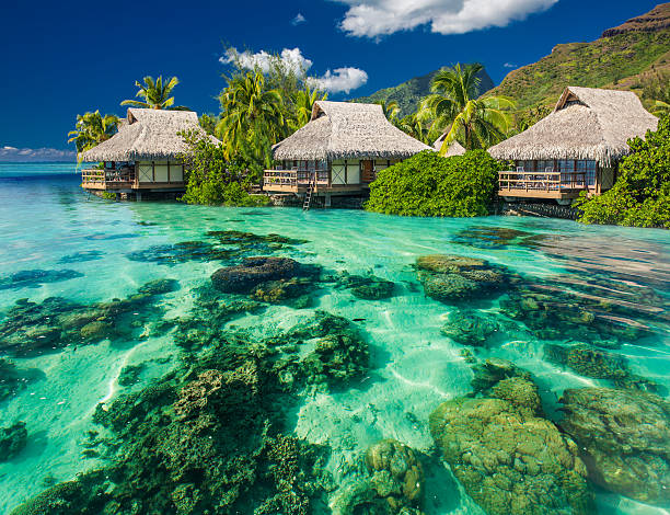 schöne oben und unterwasser landschaft von einem tropischen resort - insel tahiti stock-fotos und bilder