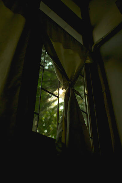 istock The morning light outside the window 502754129
