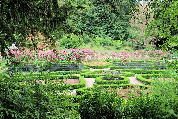 istock Ornamental rose garden 502754185