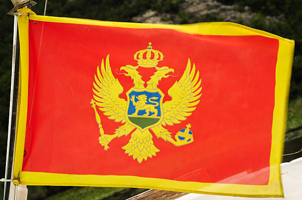 istock National flag of Montenegro 502754445