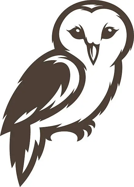 Vector illustration of Barn Owl