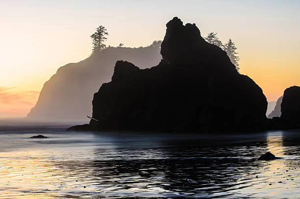 istock Sea Stack Silhouette at sunset in the Pacific Northwest 502756298