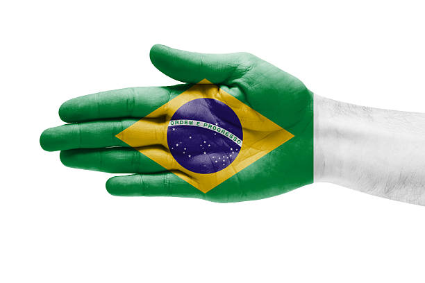 istock Human Hand Brazil Flag Painted 502757007