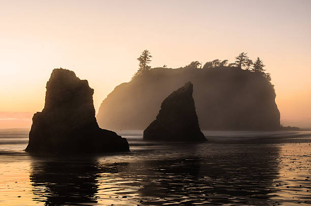 istock Sea Stack Silhouette at sunset in the Pacific Northwest 502757304