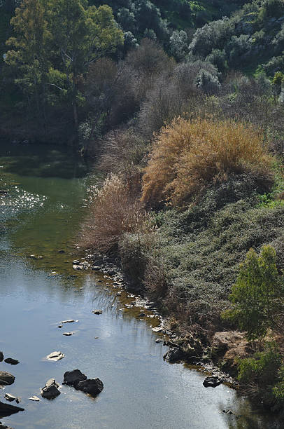 istock Oeiras Creek and vegetation in Alentejo 502757324
