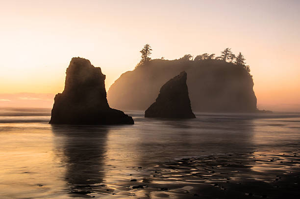 istock Sea Stack Silhouette at sunset in the Pacific Northwest 502757376