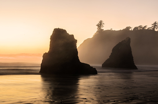 A sea stack silhouette in the golden light of sunset off the coasline of Olympic National Park in the Pacific Northwest