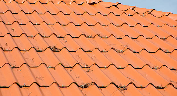 istock Thailand housing roof 502757591