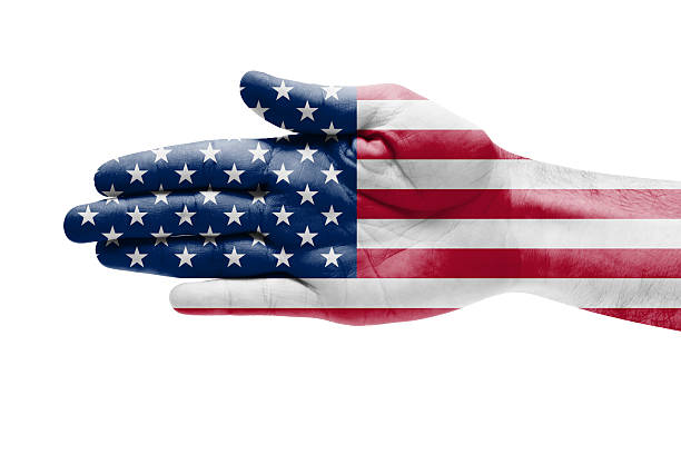istock Human Hand United States Flag Painted 502757787