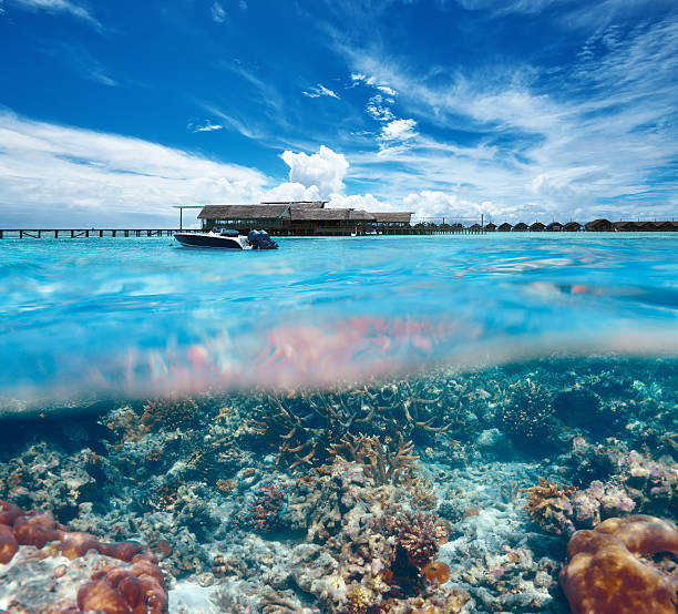 istock Beach with coral reef underwater view 502759079