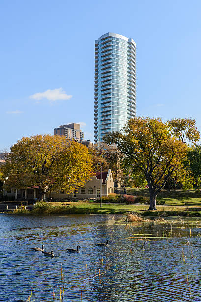 istock Loring Park Pond with Geese in Autumn 4 502760508