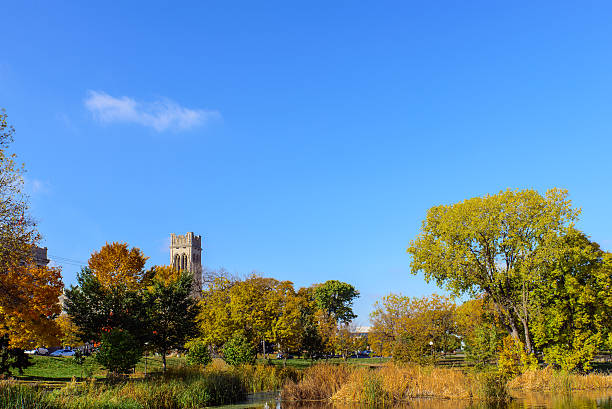 istock Loring Park in Minneapolis During Autumn 4 502760638