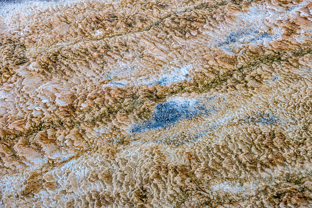 istock Colors and Textures in Yellowstone 502762936