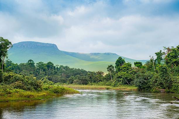 river in den dschungel. - africa blue cloud color image stock-fotos und bilder