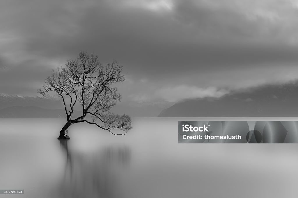 Lone tree, Lake Wanaka, New Zealand (black and white) Long exposure capture of lone tree, Lake Wanaka, New Zealand (black and white). Black And White Stock Photo