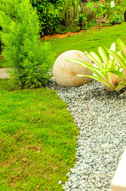 istock Walkway in a garden - The Way Forward 502780596