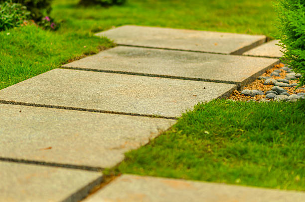 istock Walkway in a garden - The Way Forward 502781016