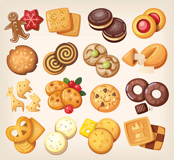 Set of vector cookies. Set of all kinds of delicious chocolate and vanilla cookies. round sugar cookie stock illustrations