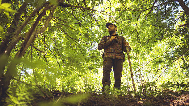 istock Explorer in Forest Holding Binoculars and Walking Cane 502782044