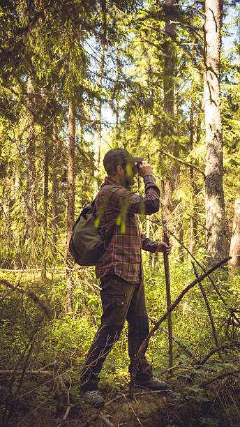istock Backpacker in Northern European Forests 502782146