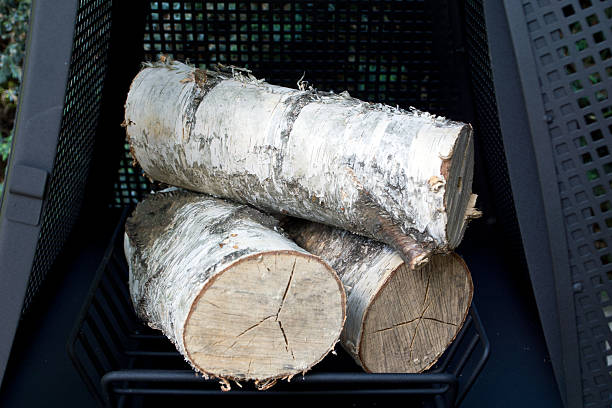 istock Firewood in the fireplace 502784171
