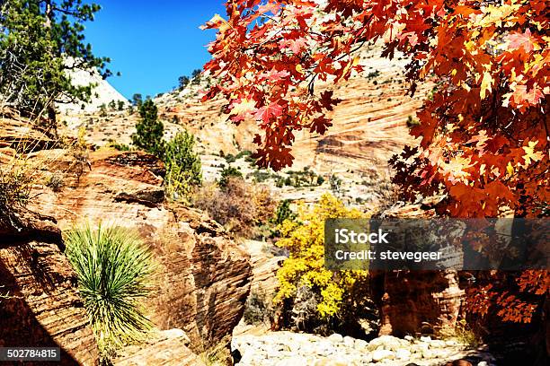 Árboles De Otoño En Zion National Park Utah Foto de stock y más banco de imágenes de Aire libre - Aire libre, Color - Tipo de imagen, Desierto