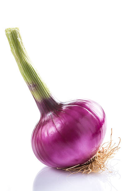 Red onion isolated on a white background stock photo