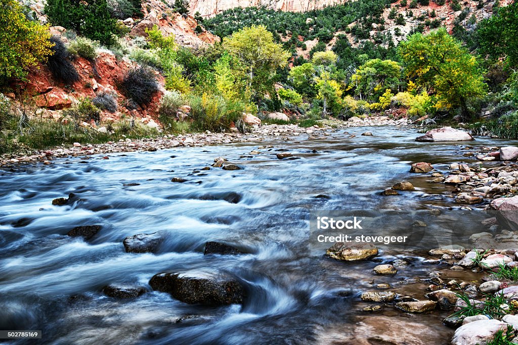 Río Virgin Zion National Park, Utah - Foto de stock de Aire libre libre de derechos