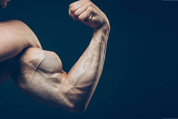 istock The athlete shows his beautiful body on black background 502785262