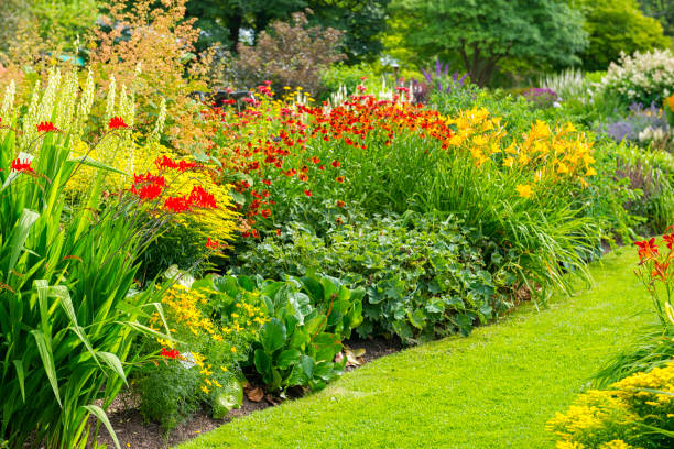 Luxury garden Lush Garden in Swedish summer crocosmia stock pictures, royalty-free photos & images