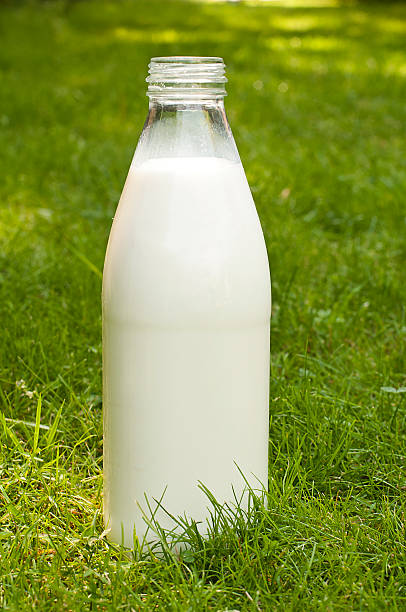 istock Bottle of milk 502786495