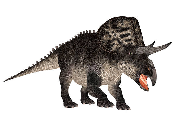 istock Illustration of a Zuniceratops 502787435