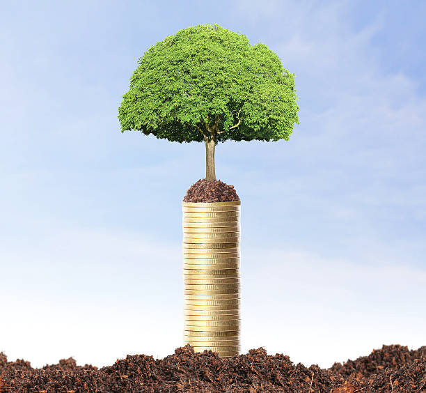 istock green plant on  gold coins 502787645