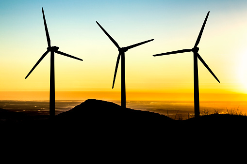 Wind turbines lit by morning's light.