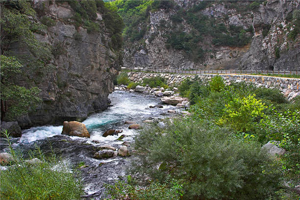 la montagne rivière. - runnel photos et images de collection