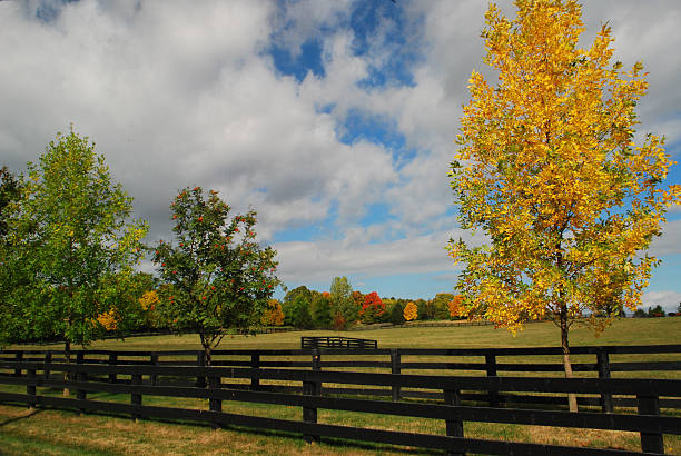 istock automn in the countryside 502788445