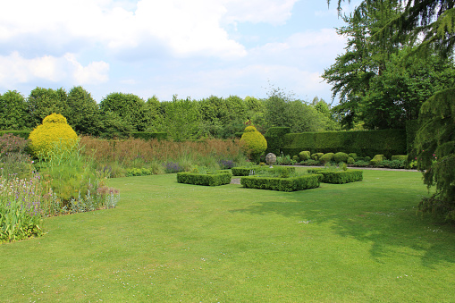 Photo showing a spreading lawn with a centerpiece knot garden, with clipped box / boxwood hedging (buxus sempervirens), pruned to form four crisp, symmetrical geometric shapes with right-angle corners.  A summer flower border, yew hedge, clipped golden yew trees (topiary shapes) and large specimen trees form a backdrop to the garden.