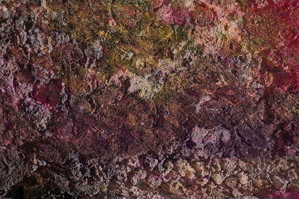 istock Structure of an old plaster from the shadows 502789715