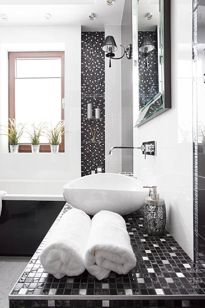 istock Black and white washroom 502789732