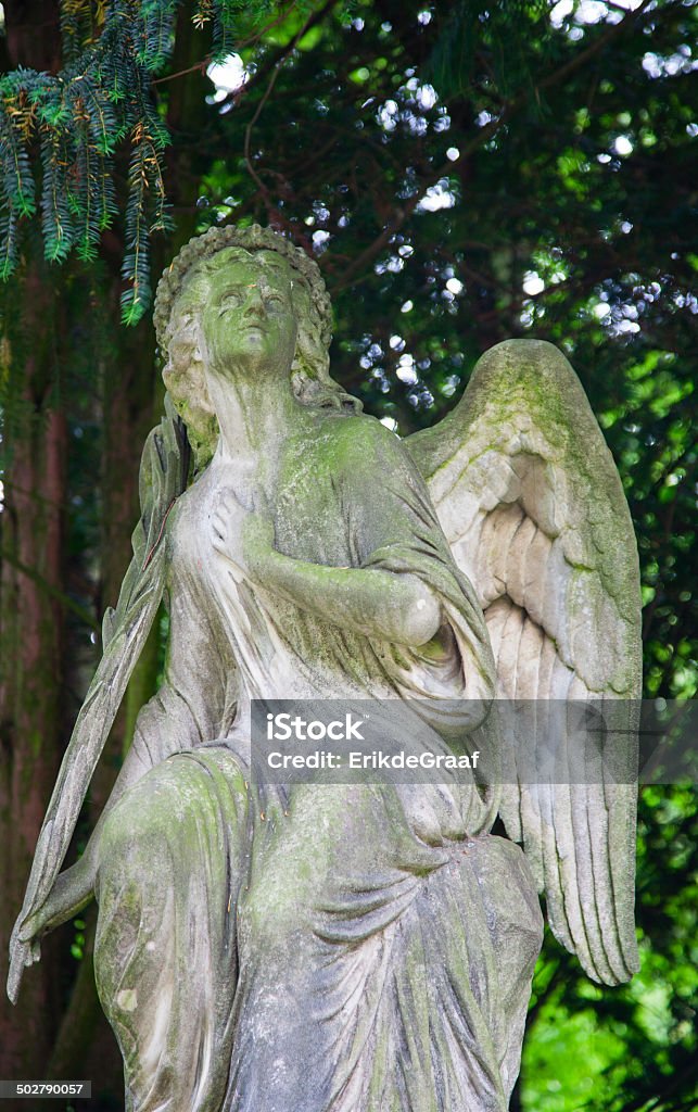 grave Grave at Melaten Cemetery in Cologne, Germany Angel Stock Photo